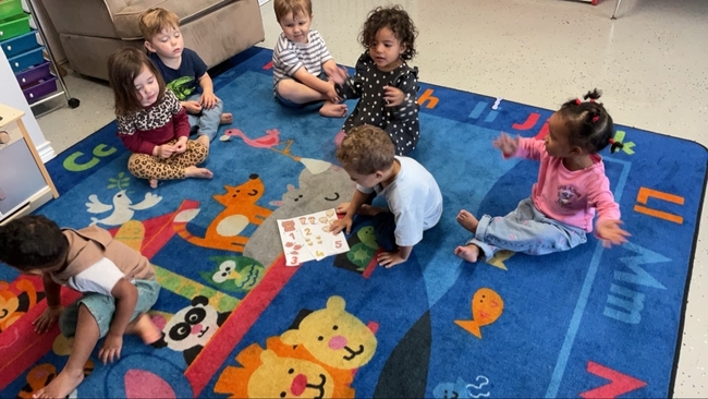 Gallery Image 11